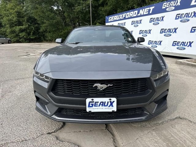 Used 2024 Gray Ford EcoBoost image 4