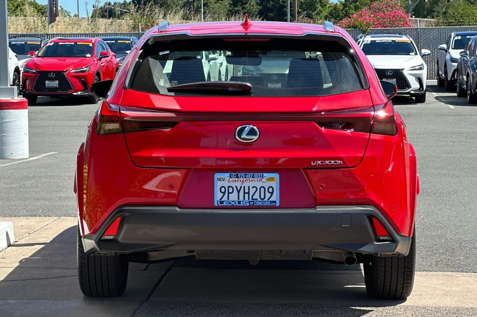 Used 2025 Red Line Lexus 300h Premium image 5