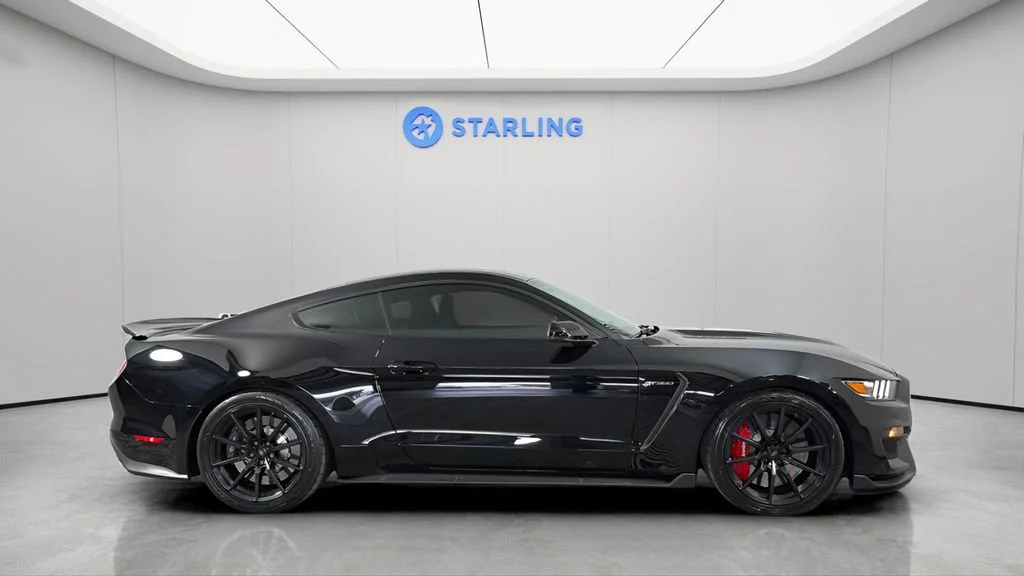 Used 2017 Black Ford Shelby GT350 image 12
