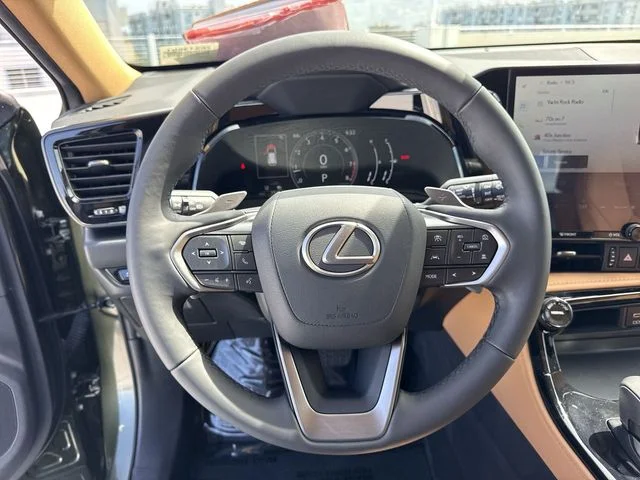 Used 2024 Green Lexus 250 Premium image 14