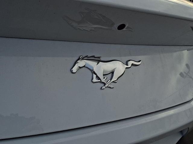 2026 Ford Mustang EcoBoost Premium Fastback - Photo 40