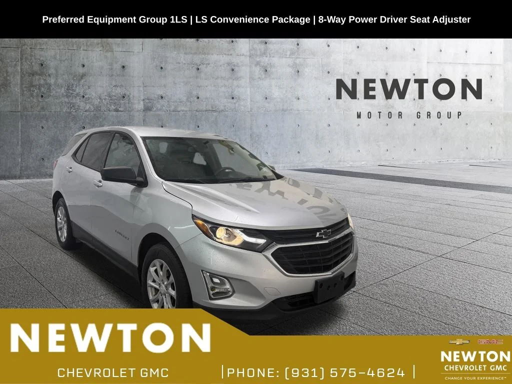 Used 2019 Silver Chevrolet LS image 1