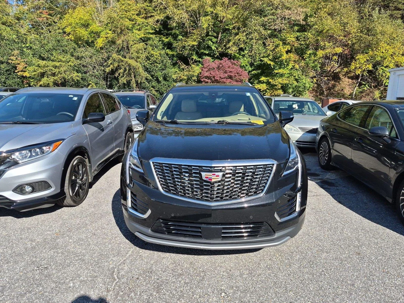 Used 2023  CADILLAC PLATPREMLU image 2