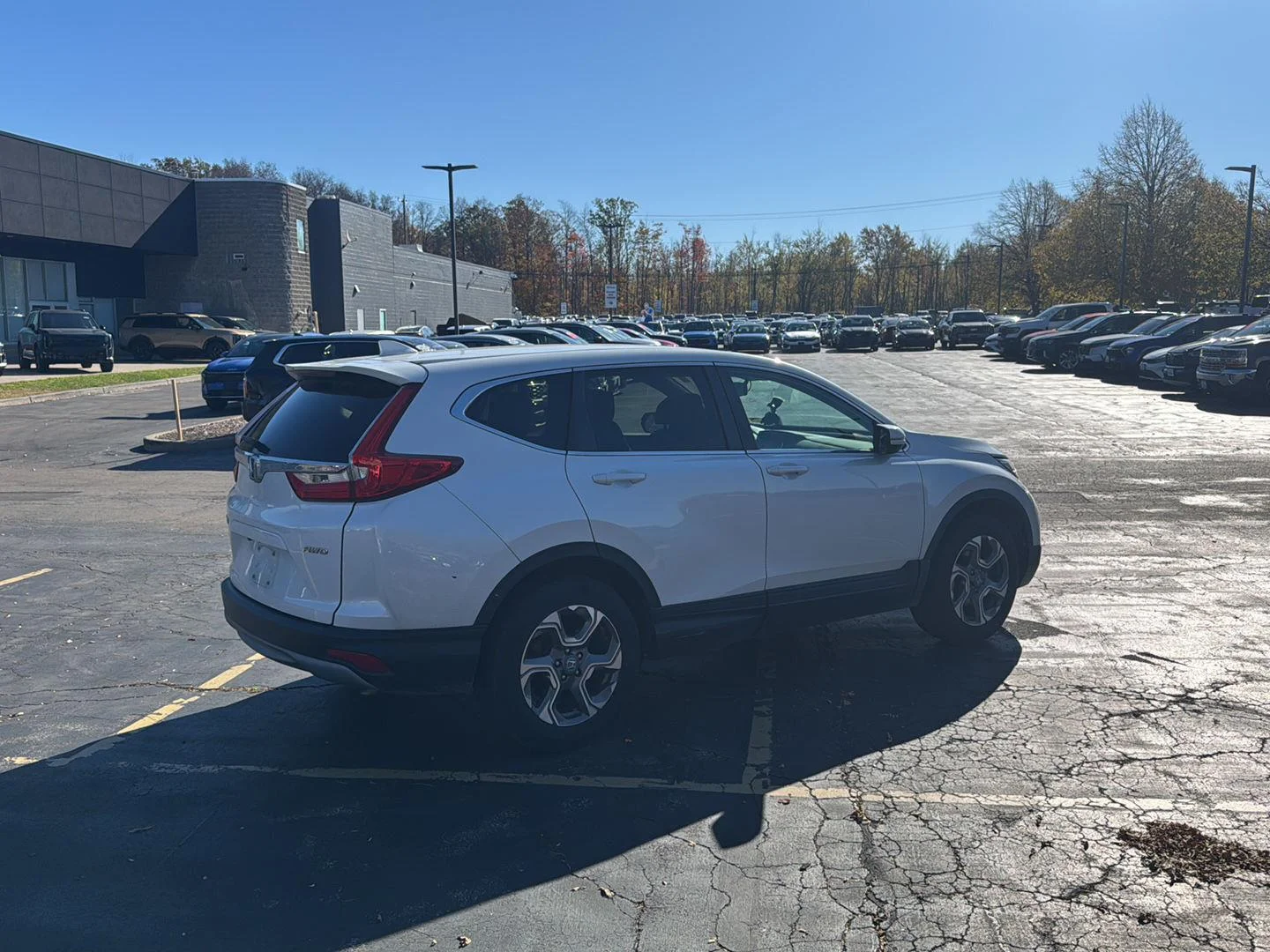 Used 2019 Platinum White Pearl Honda EX-L image 7