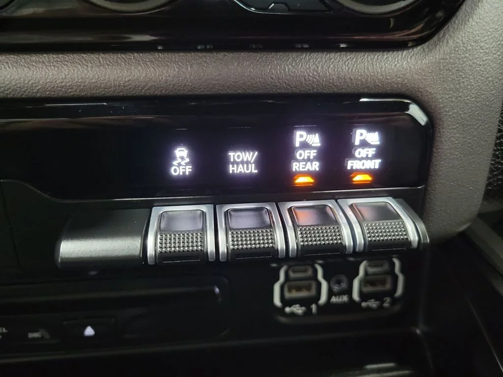 Used 2019 Black Ram Rebel image 47