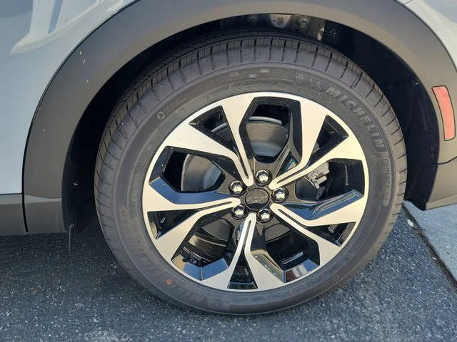 New 2026 Glacier Gray Metallic Tri-coat Ford Select image 6