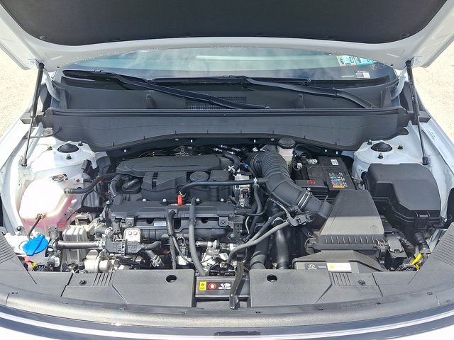 New 2026 White Hyundai Limited image 20