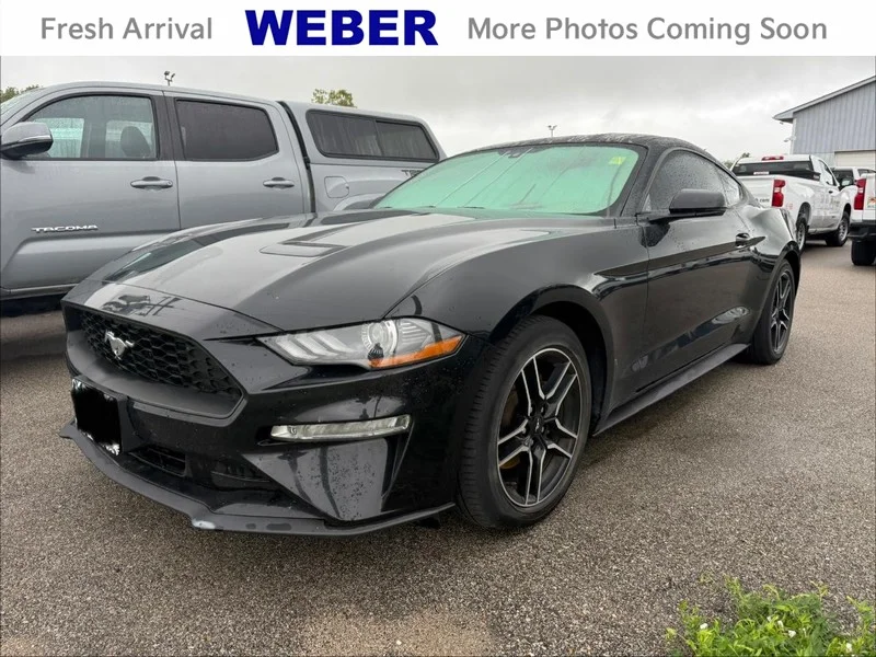 Used 2019 Shadow Black Ford EcoBoost Premium Fastback image 1