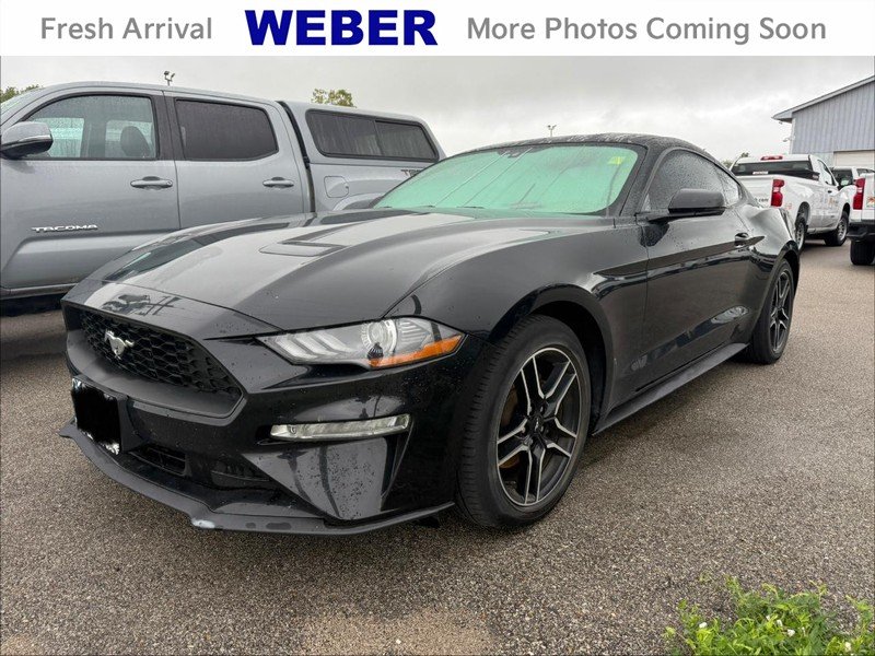 2019 Ford Mustang