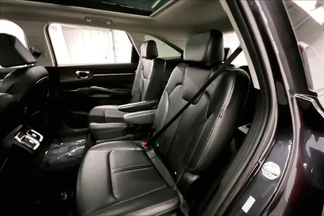 Used 2025 Panthera Metal Kia X-Line SX image 23