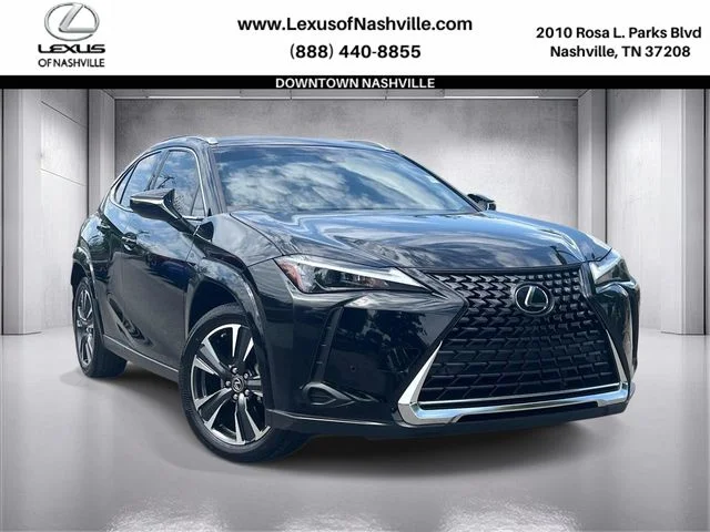 2024 Lexus UX 300h 250h Premium AWD's photo