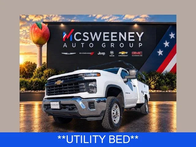 Used 2024 Summit White Chevrolet WT image 1