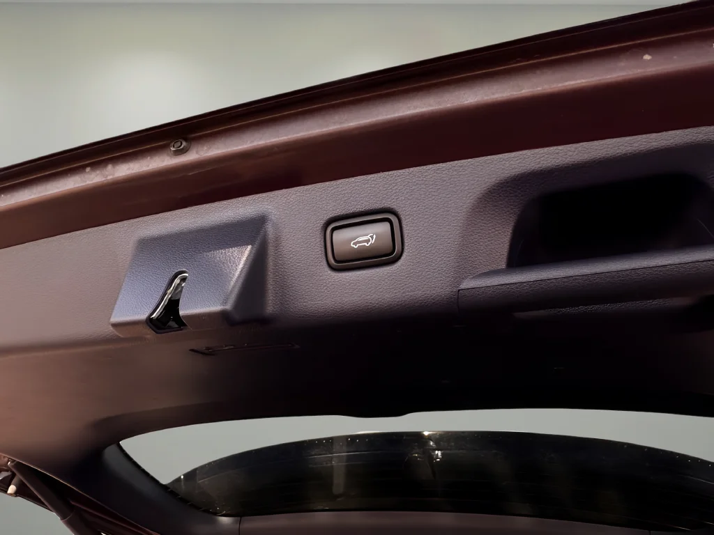 Used 2024 Red Hyundai Calligraphy image 19