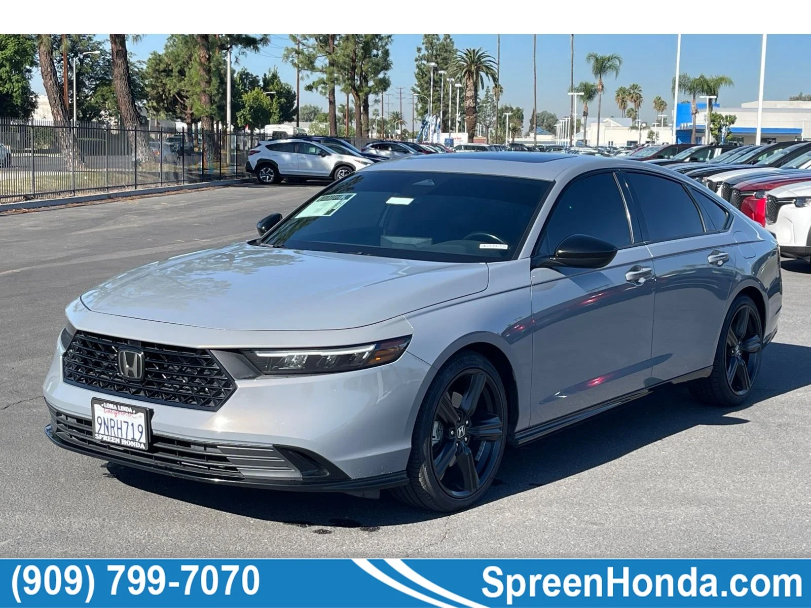 Used 2024 Urban Gray Pearl Honda Sport-L image 1
