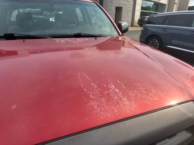 Used 2009 Red Toyota Base image 3