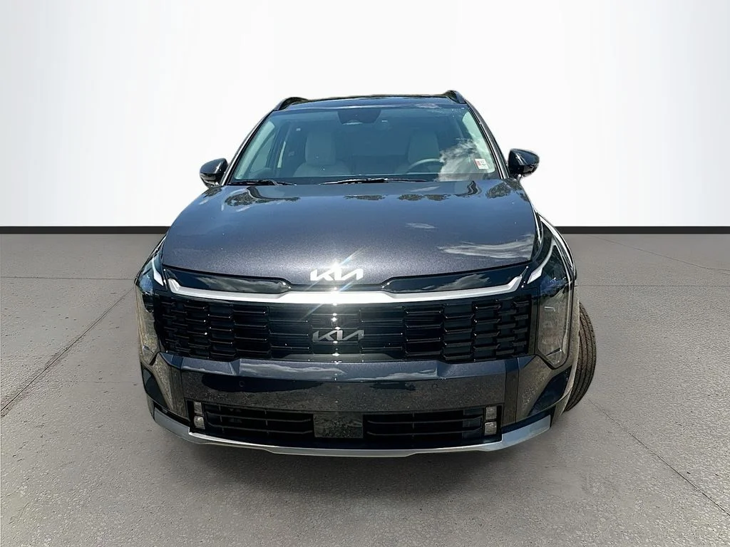 New 2026 Panthera Metal Kia SX Prestige image 2