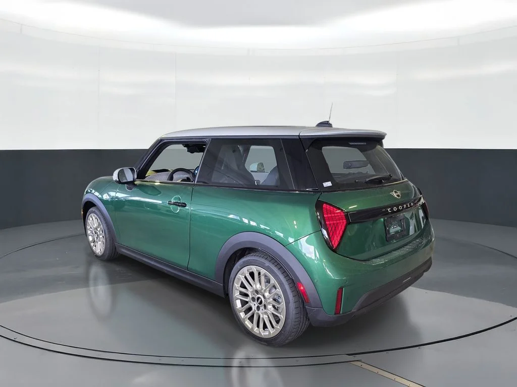 New 2026 Green MINI  image 4