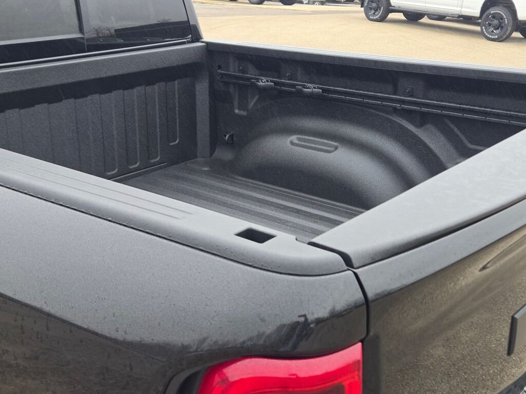 New 2026 Diamond Black Crystal Pearl-Coat Exterior Paint RAM RHO image 19