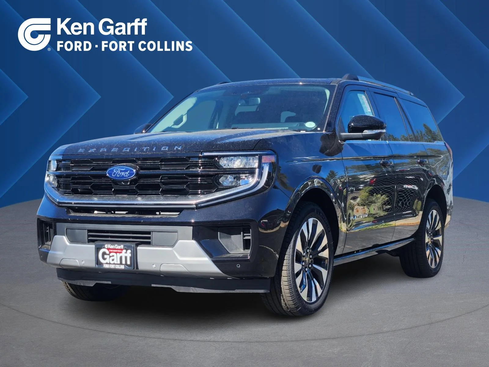 2025 Ford Expedition Platinum 4x4's photo