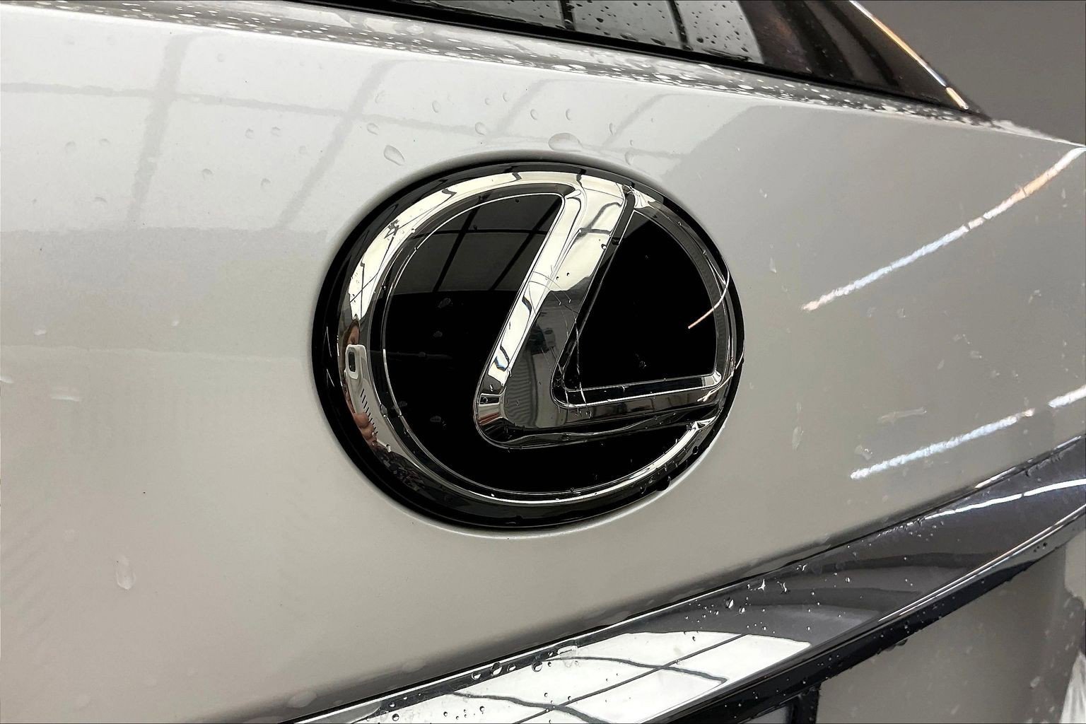 2019 Lexus RX 350 photo 6