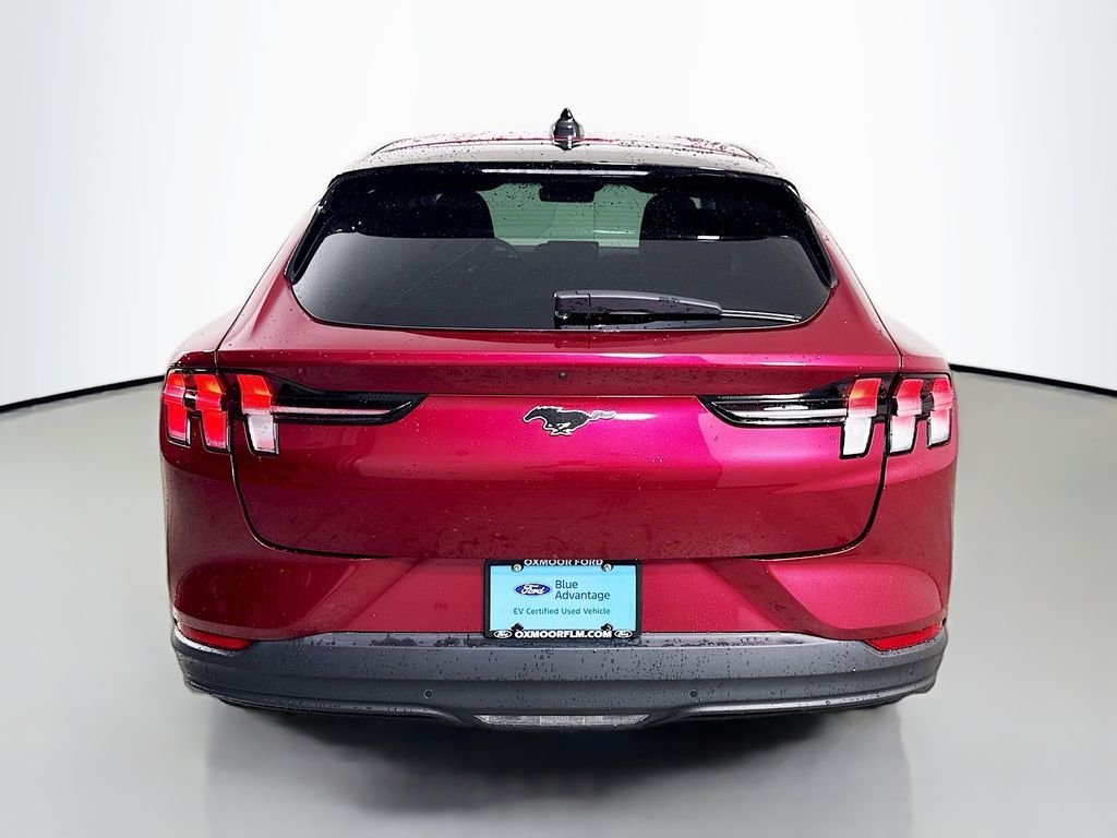 Used 2025 Molten Magenta Metallic Tinted Clearcoat Ford Premium image 13