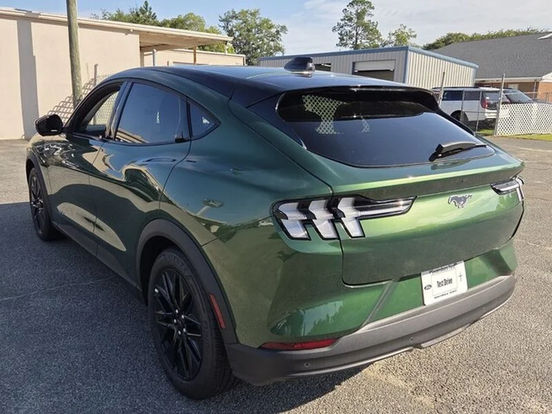 New 2026 Eruption Green Metallic Ford Select image 10