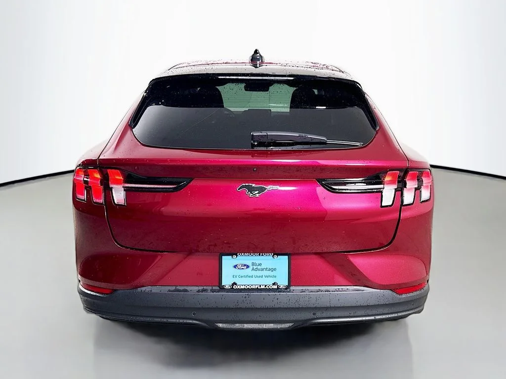 Used 2025 Molten Magenta Metallic Tinted Clearcoat Ford Premium image 13