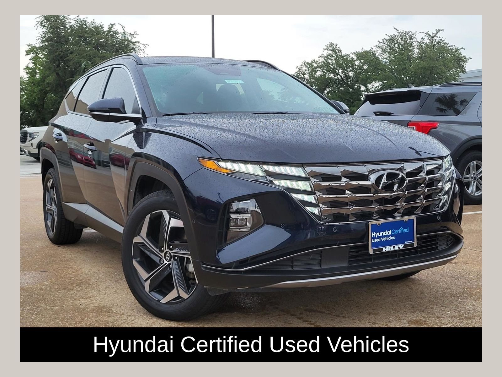 2024 Hyundai Tucson Limited HEV AWD's photo