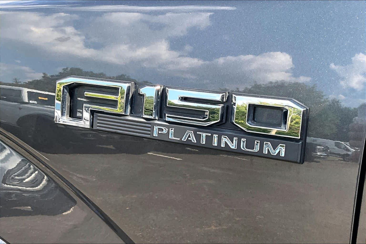 Used 2015 Magnetic Metallic Ford Platinum image 9