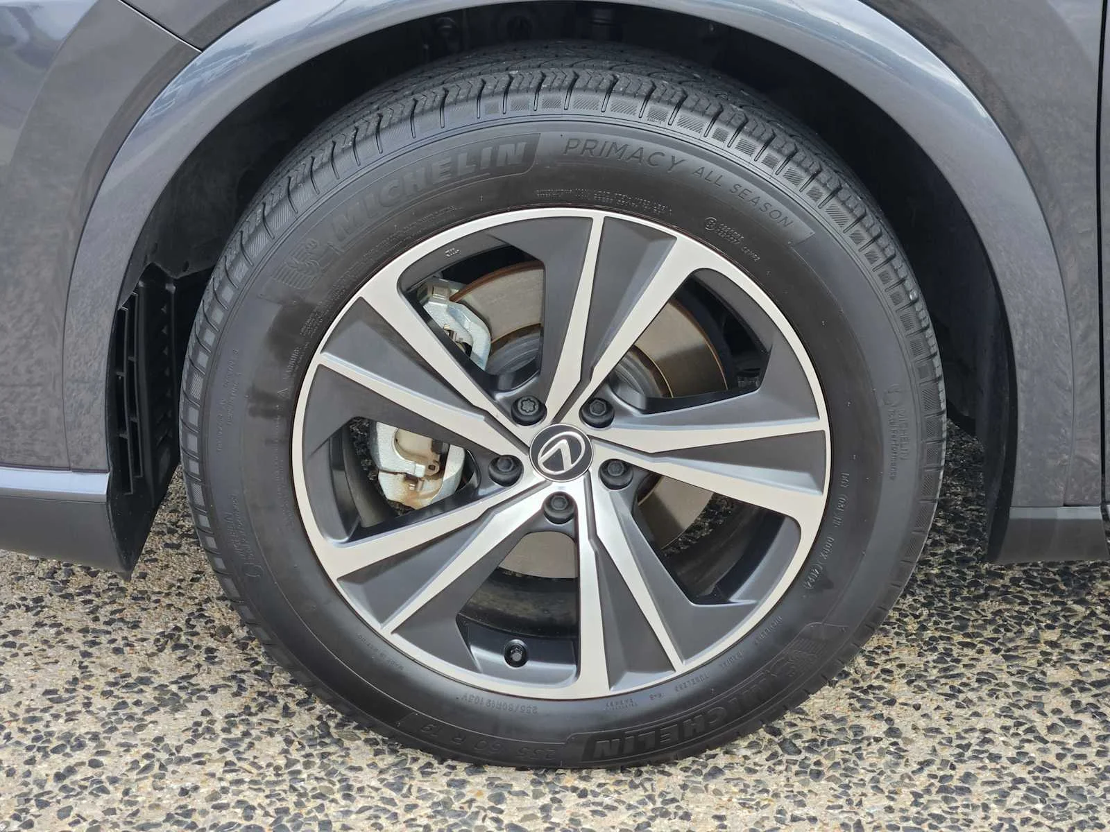 Certified Used 2025 CLOUDBURST GRAY Lexus Premium image 7
