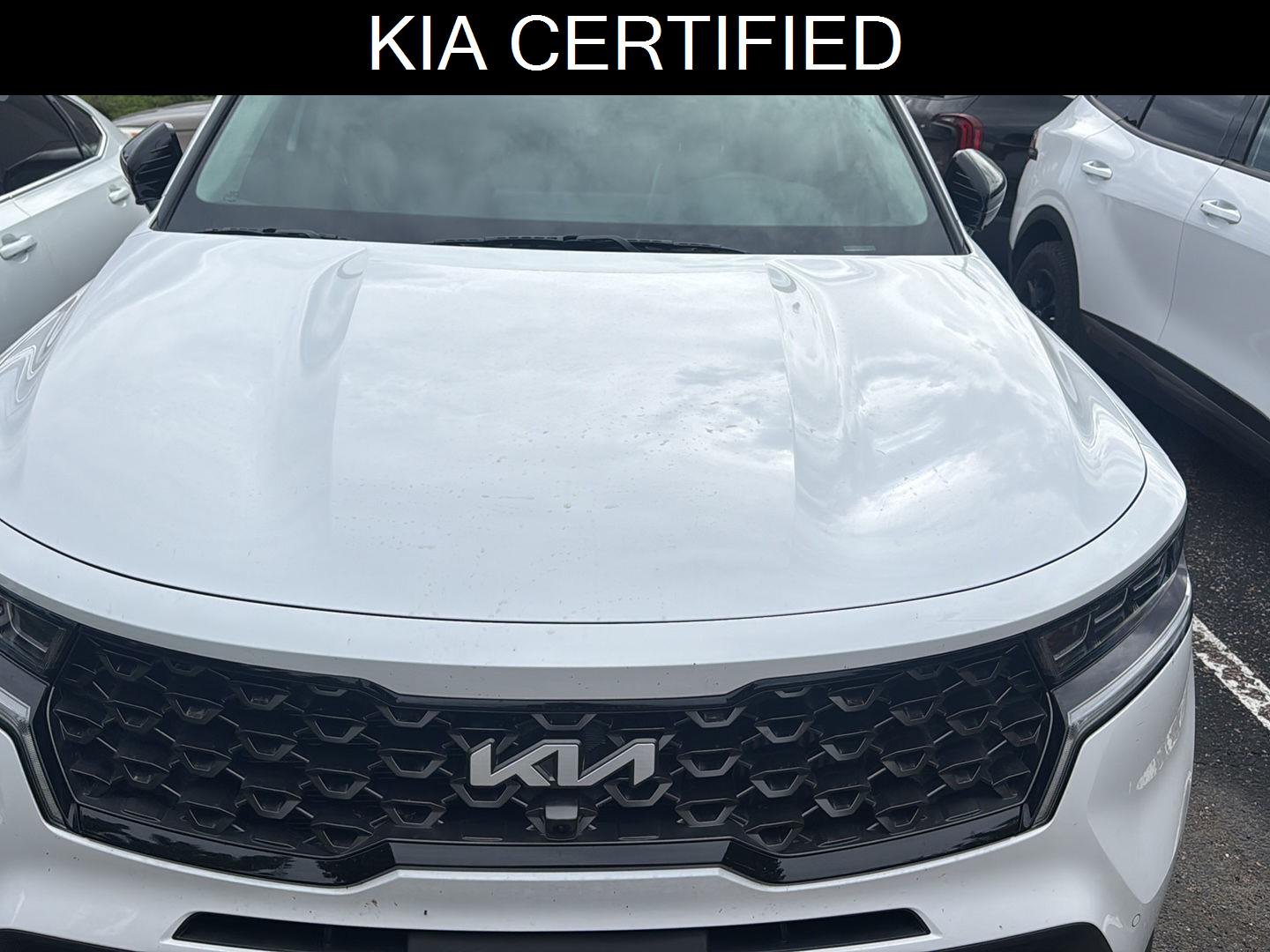 Used 2023 Glacial White Pearl Kia X-Line SX Prestige image 1
