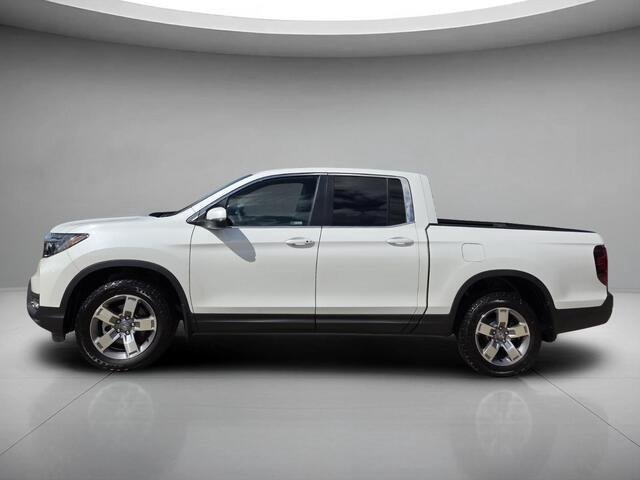 Used 2026 Platinum White Pearl Honda RTL image 2