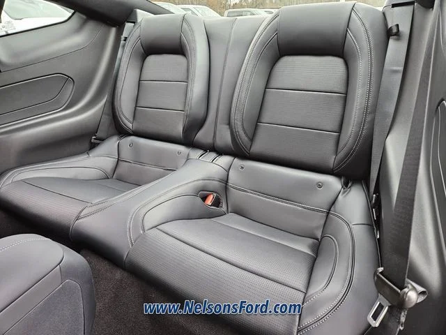 2026 Ford Mustang EcoBoost Premium Fastback - Photo 7