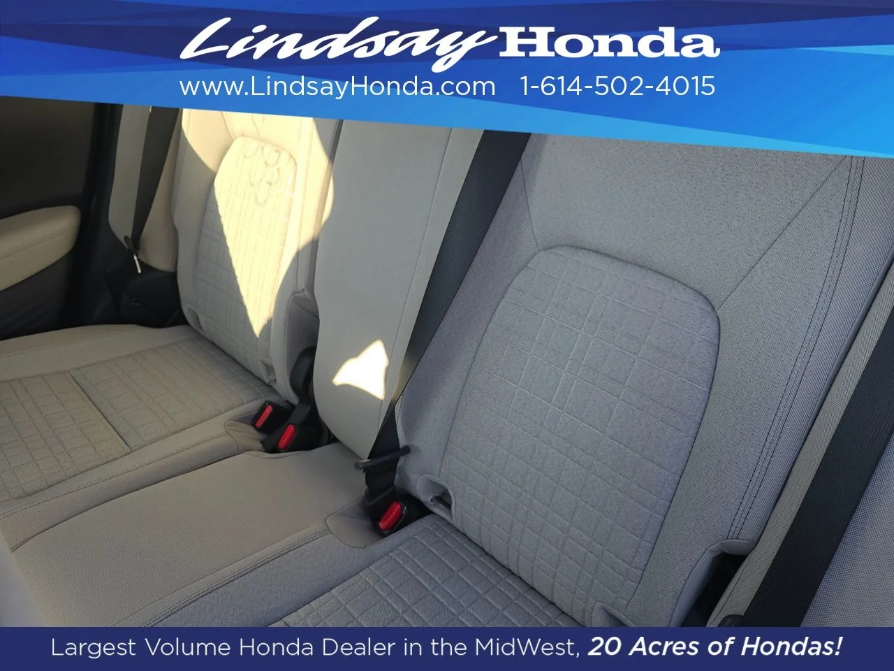 New 2027 Platinum White Pearl Honda LX image 4