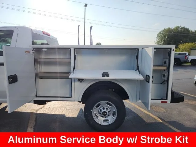 Used 2024 Summit White Chevrolet WT image 9