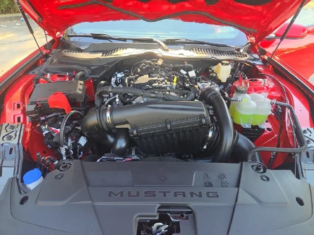 New 2026 Race Red Ford EcoBoost® Fastback image 23