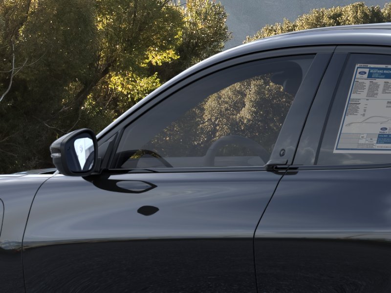 New 2026 Shadow Black Ford Premium image 48