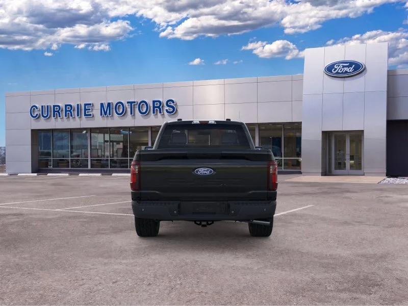 New 2026 Agate Black Metallic Ford Roush image 5