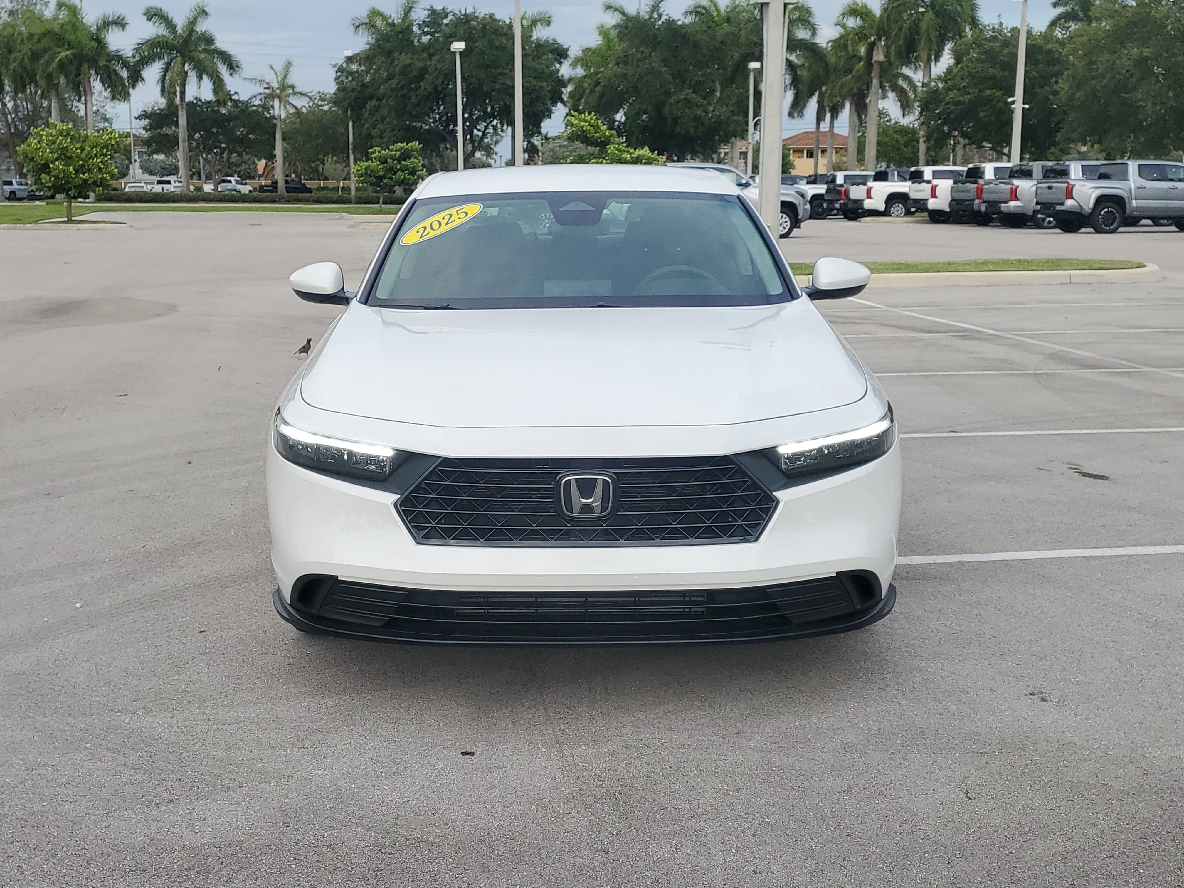 Used 2025 Platinum White Pearl Honda LX image 17