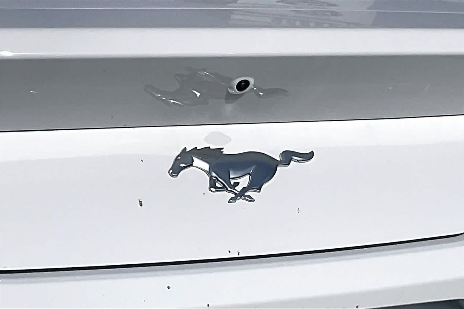 New 2026 Oxford White Ford EcoBoost® Fastback image 14