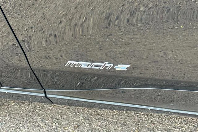 New 2026 Shadow Black Ford Premium image 30