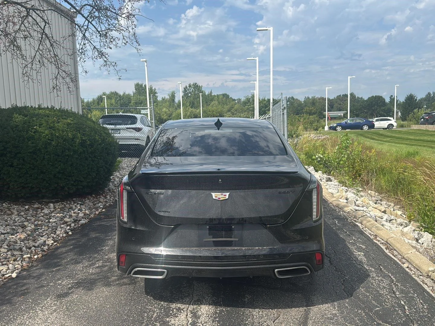 Used 2023 Black Raven Cadillac Sport image 6