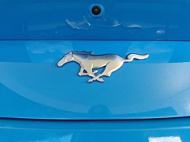 Used 2024 Blue Ford EcoBoost Premium image 38