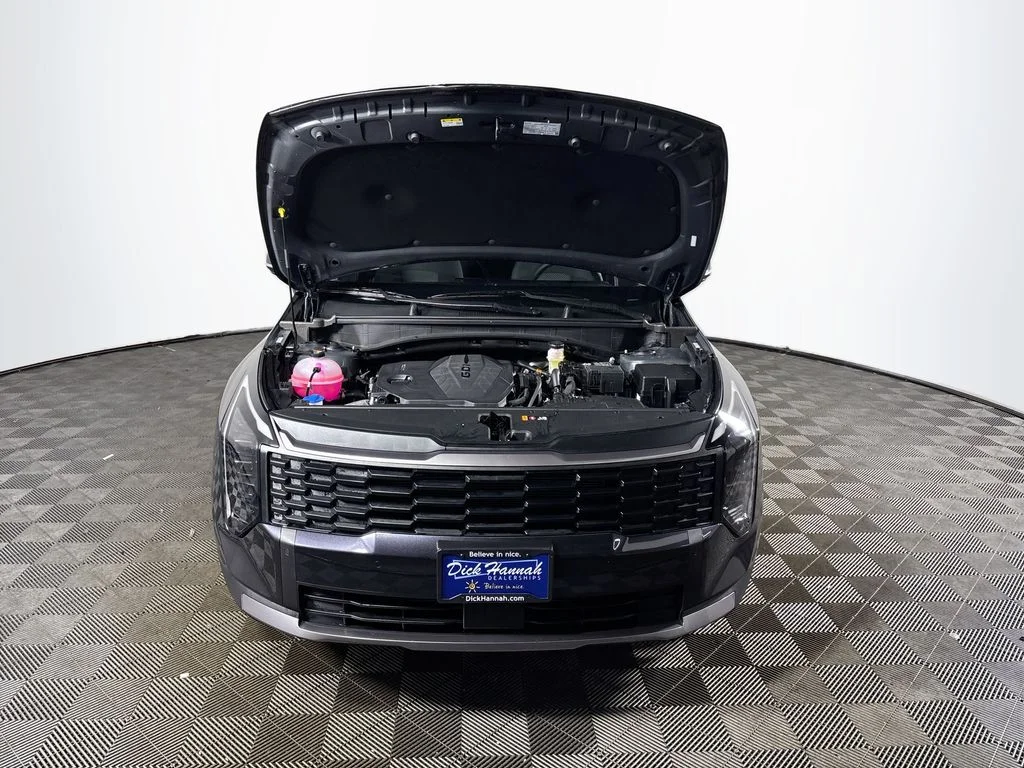 New 2026 Panthera Metal Kia LX image 21