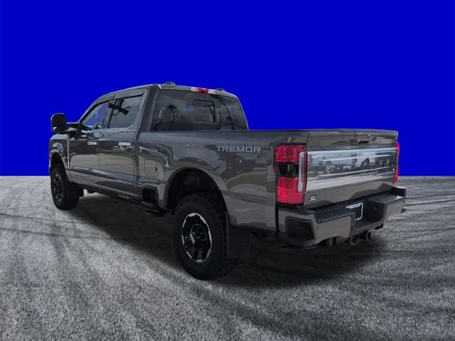 New 2027 Gray Ford Platinum image 6