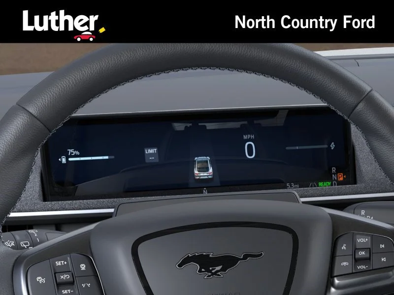 2025 Ford Mustang Mach-E GT - Photo 13
