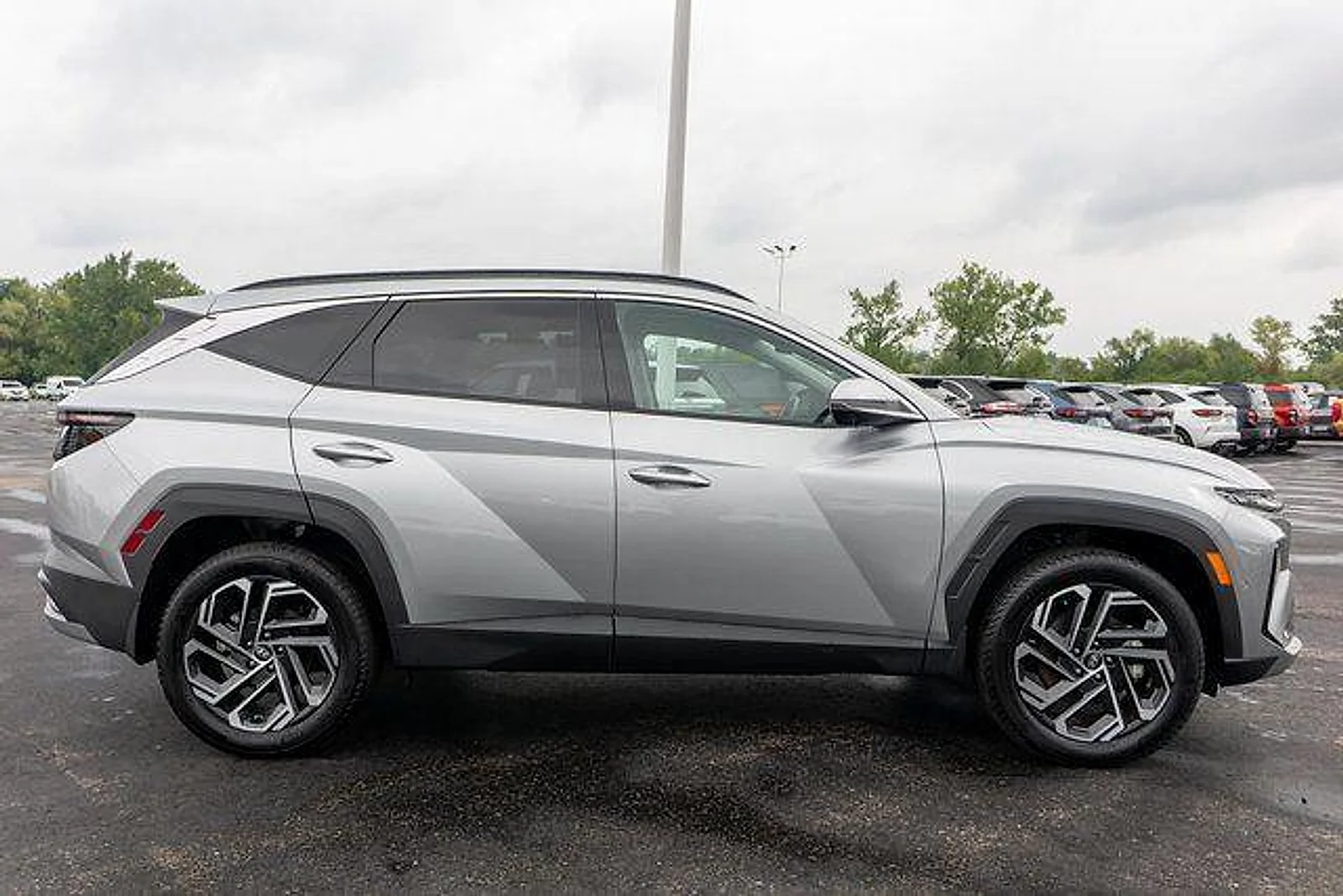 Used 2025 Shimmering Silver Hyundai Limited image 5