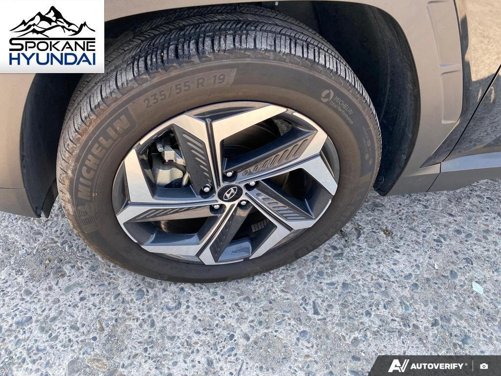 Certified Used 2024 Black Pearl Hyundai Limited image 10