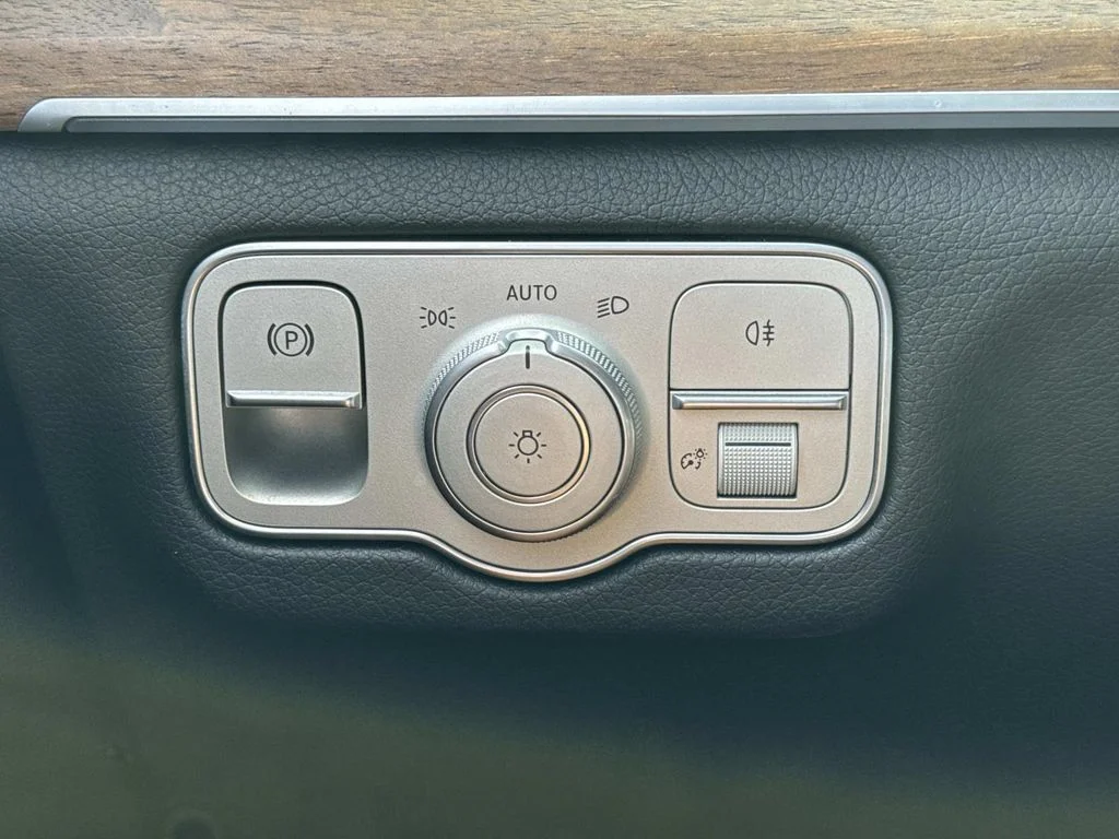 2025 Mercedes-Benz GLS Base - Photo 22