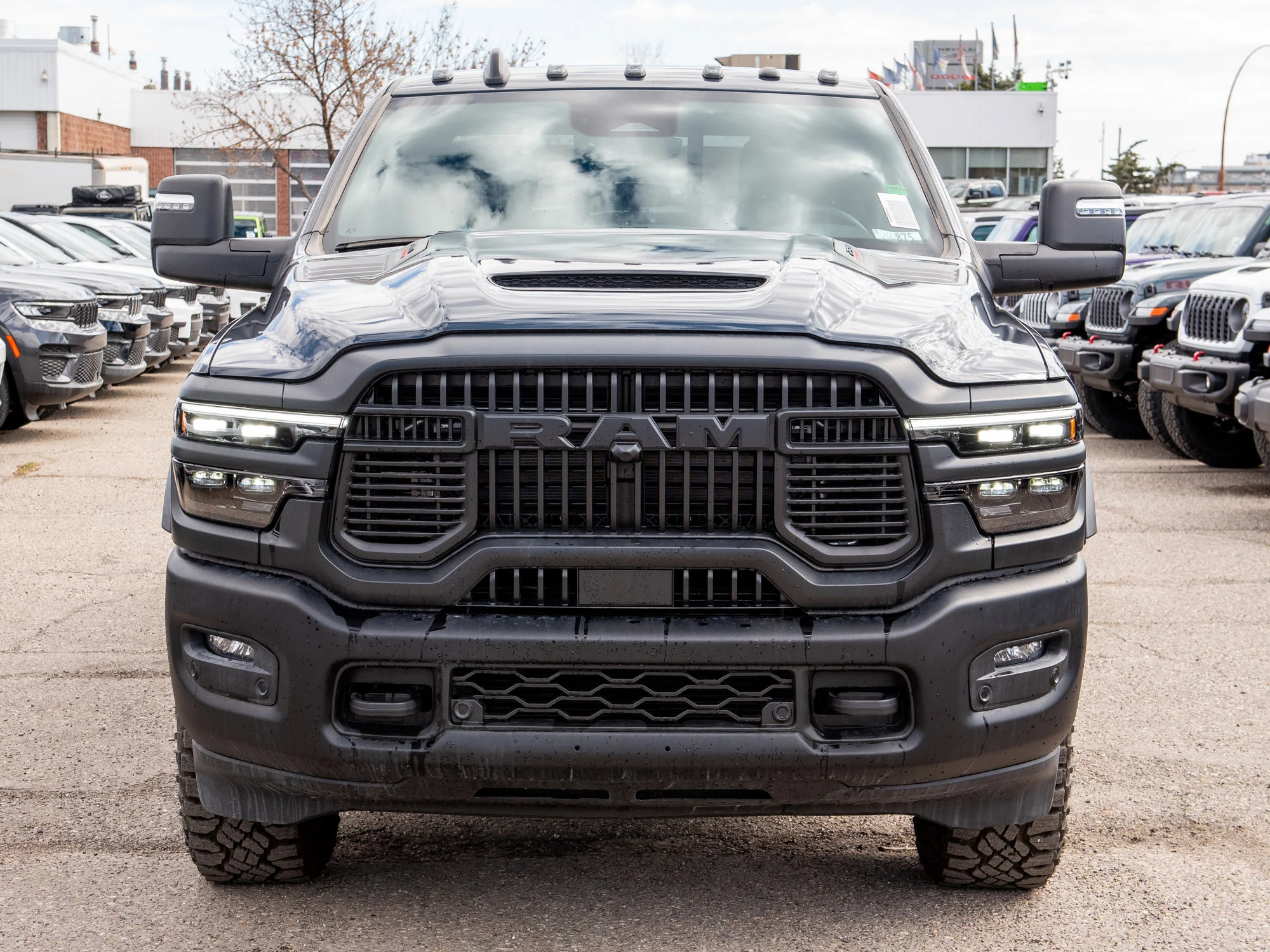 New 2026 Blue RAM Rebel* image 8